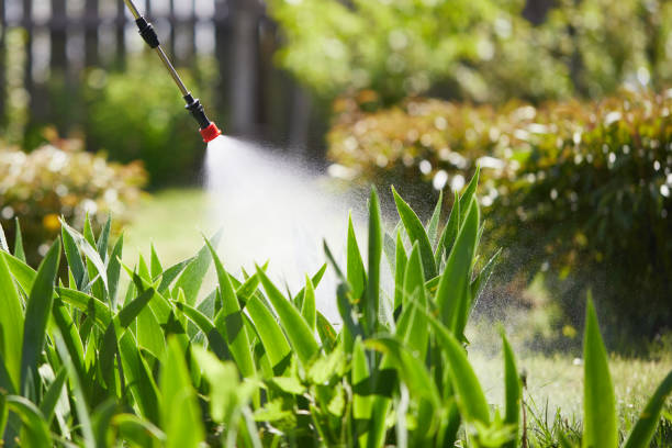 24/7 Emergency Termite Control experts in Caryville, TN