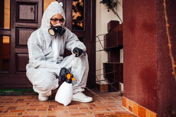Reliable Termite Control contractor in Caryville, TN by Nex Pest Control