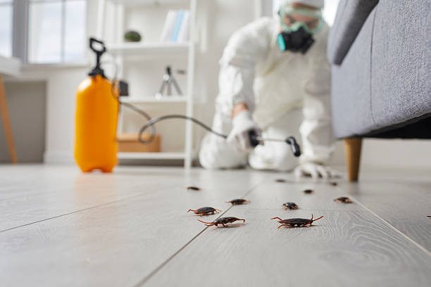 Trusted Termite Control service in Caryville, TN - Nex Pest Control